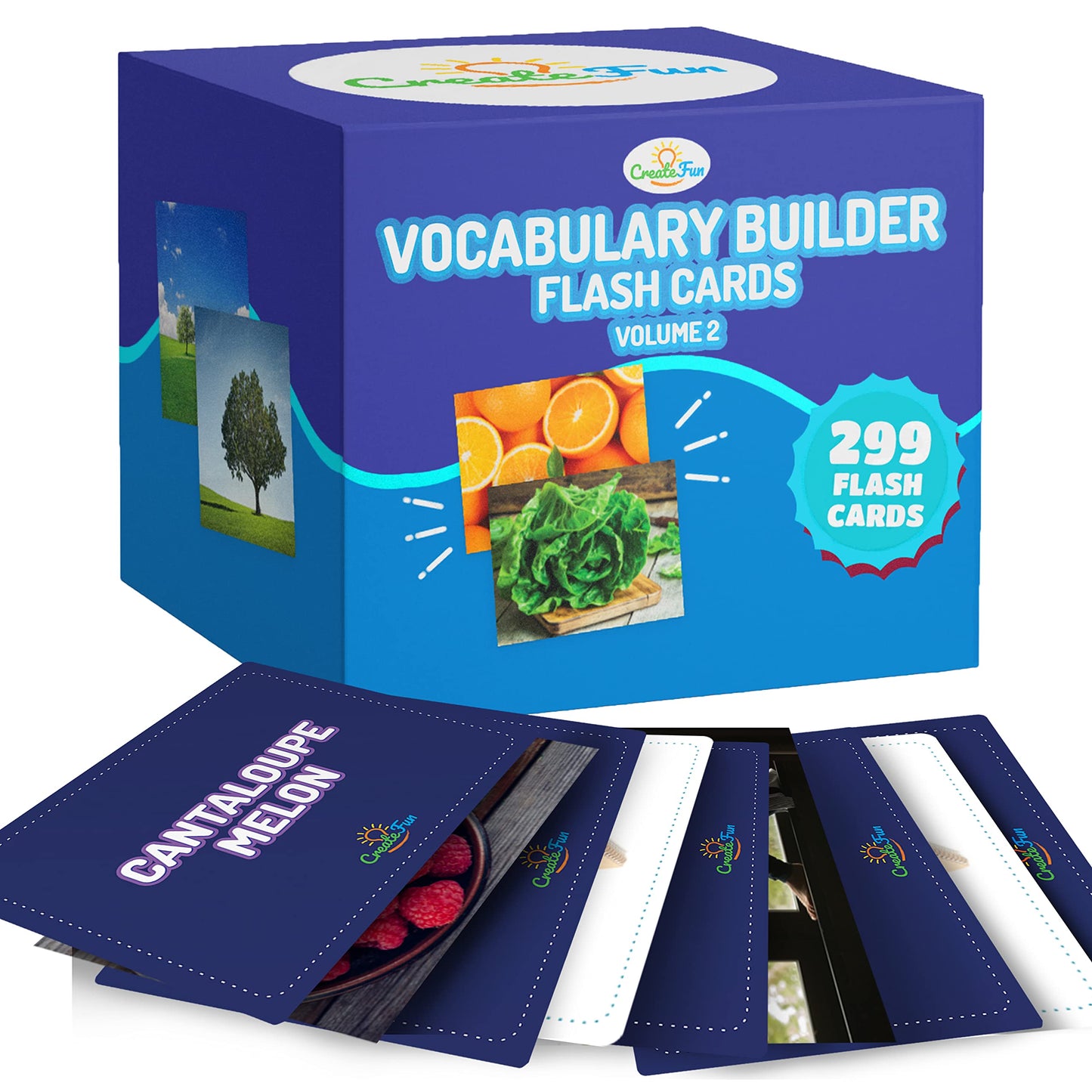Vocabulary Builder Flash Cards for Kids Learning
