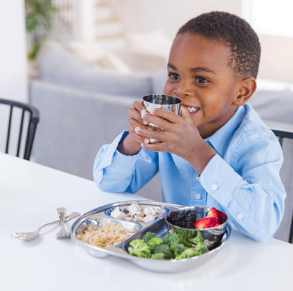 Stainless Steel Divided Plates for Kids