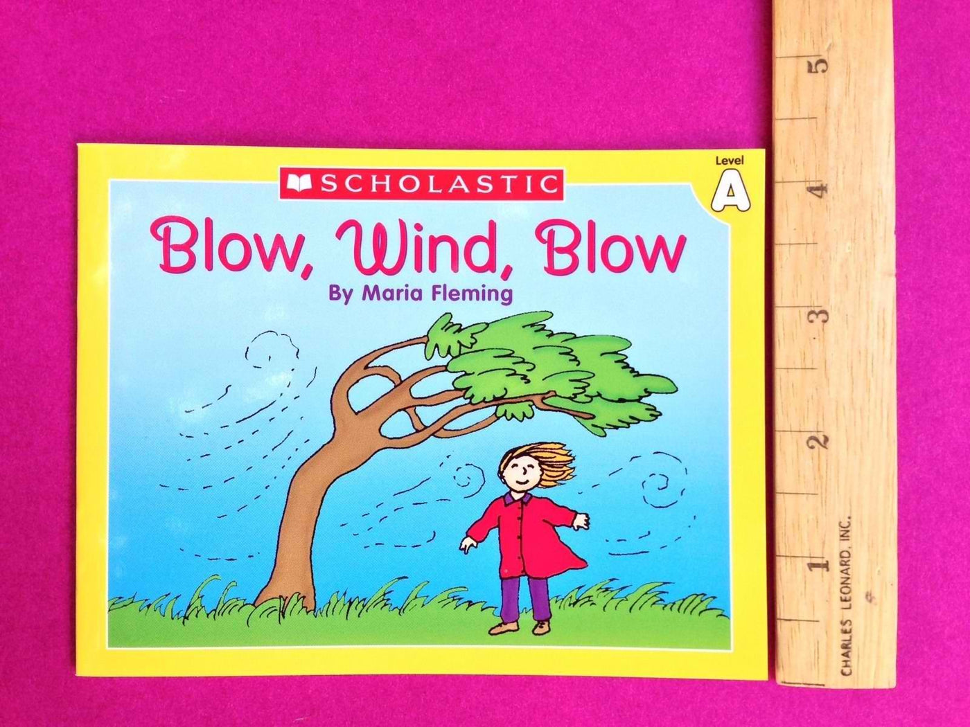 Learn to Read Book Set for First Grade Kids