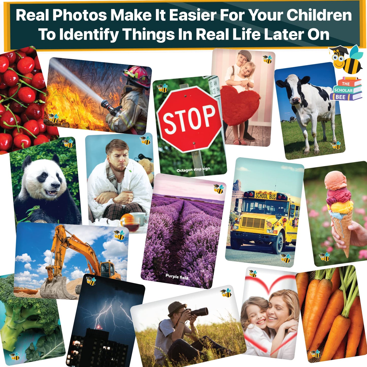 Toddler Flash Cards Learning Box Set with Pictures