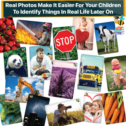 Toddler Flash Cards Learning Box Set with Pictures